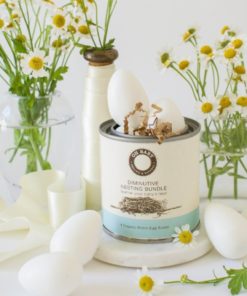Petite Robin's Egg Soap Set